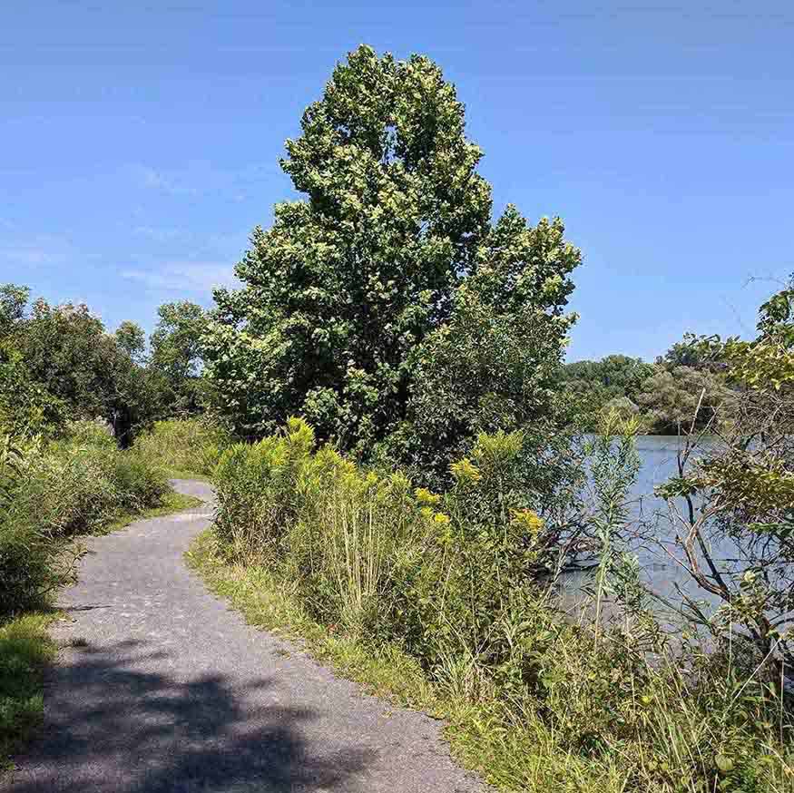 Montezuma National Wildlife Refuge Day Trips Around Rochester, NY