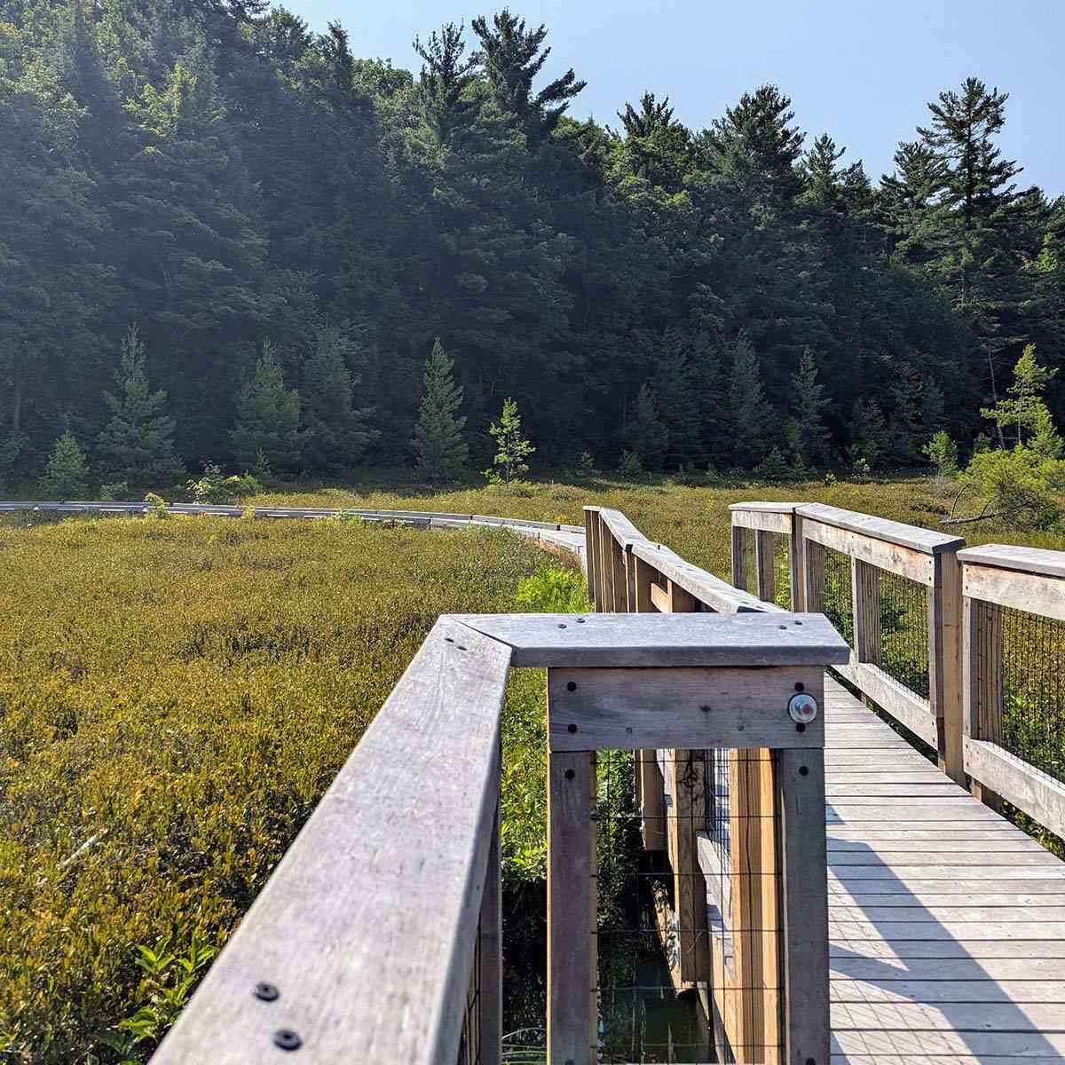 Moss Lake Preserve boardwalk