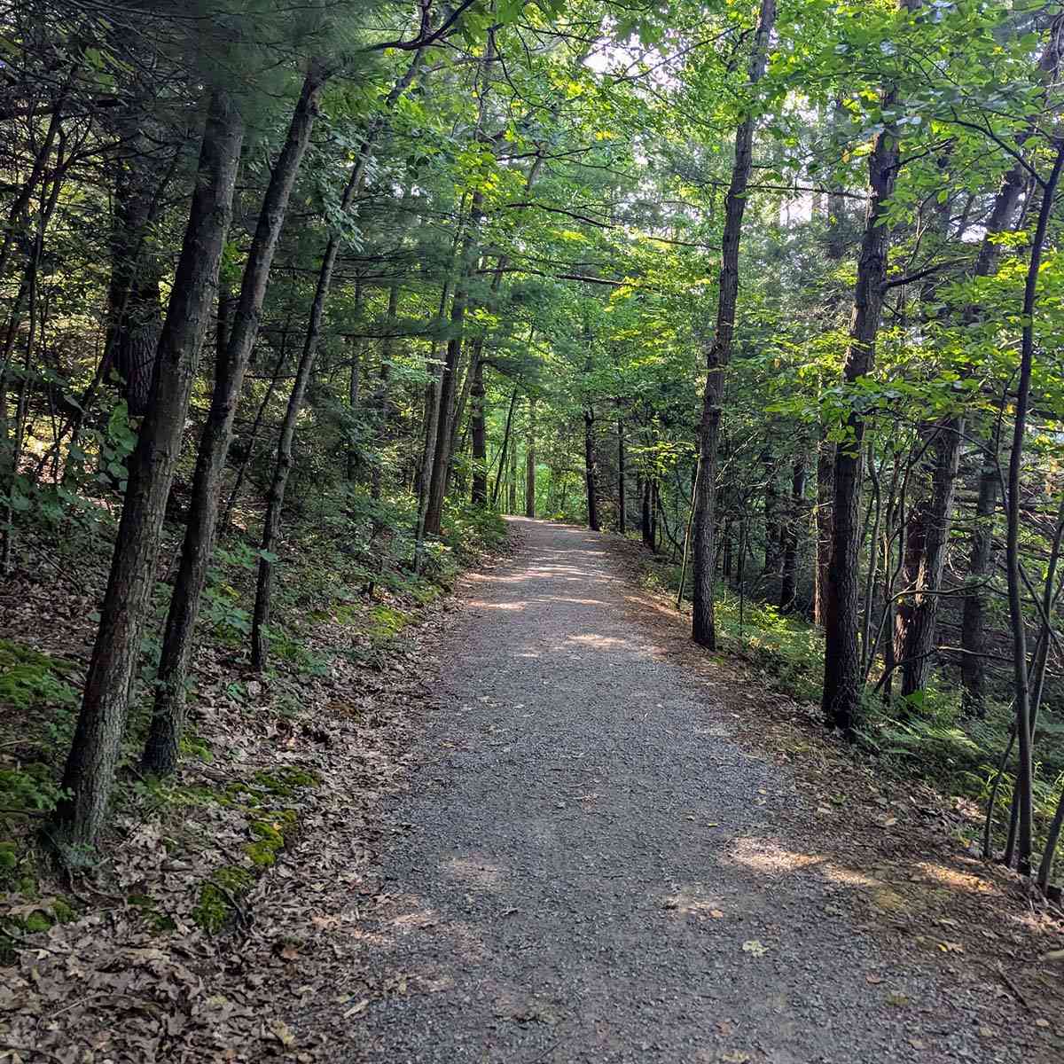 Moss Lake Preserve trail