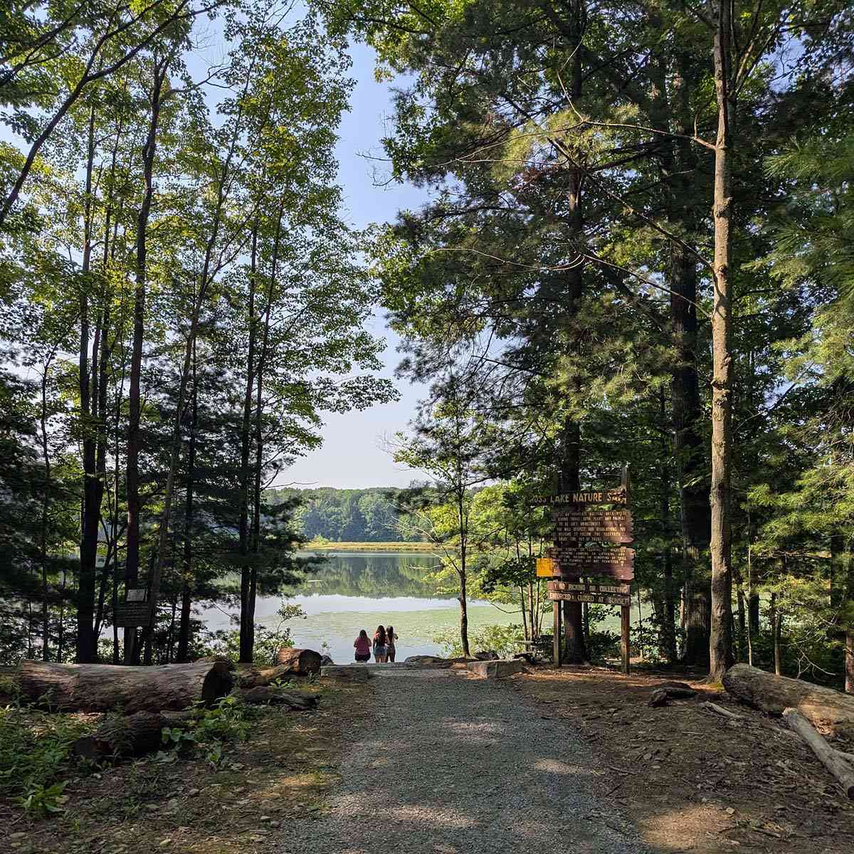 Moss Lake Preserve view from parking lot