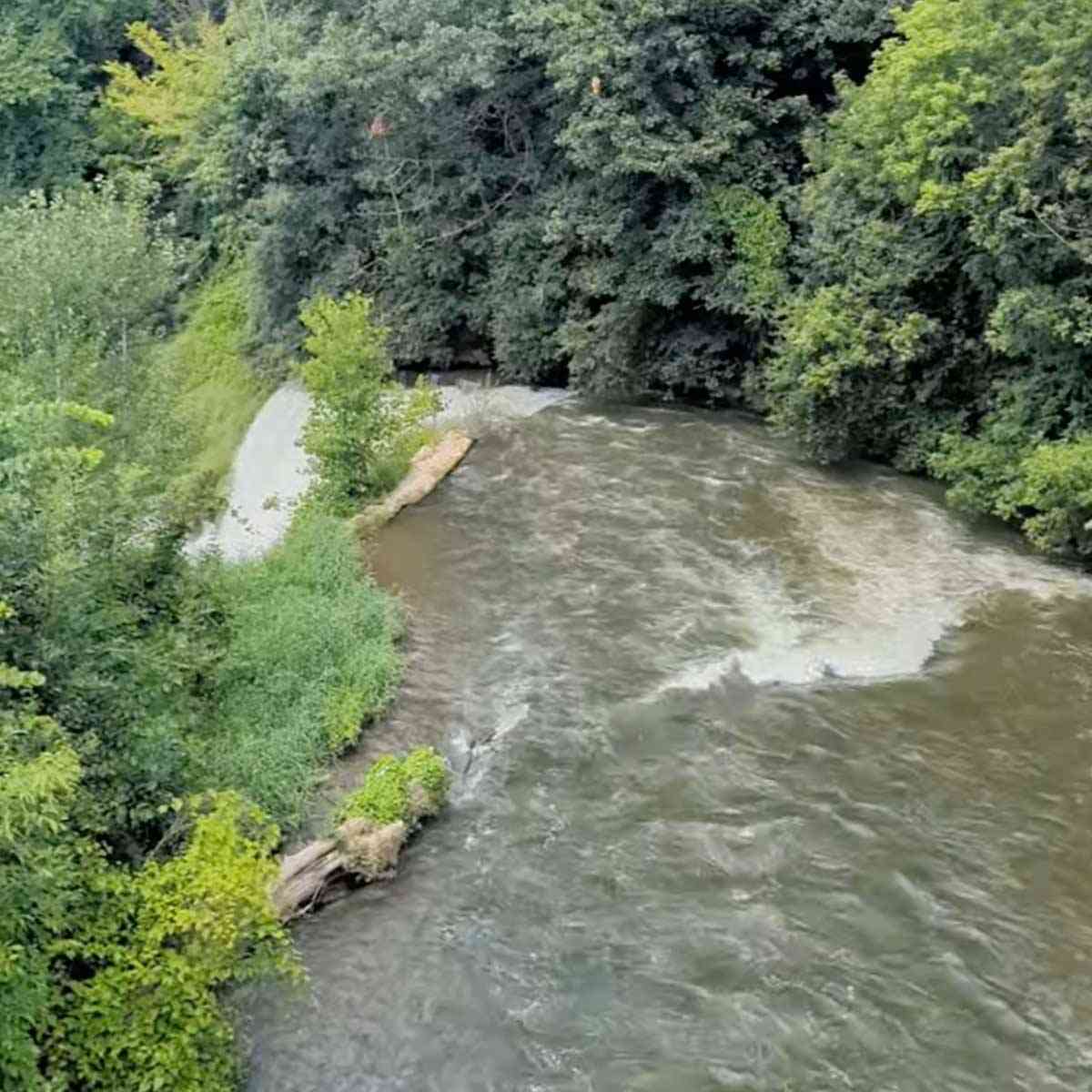 Oak Orchard Creek Medina