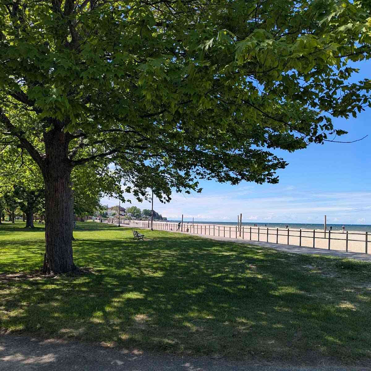 Ontario Beach Park shade beach