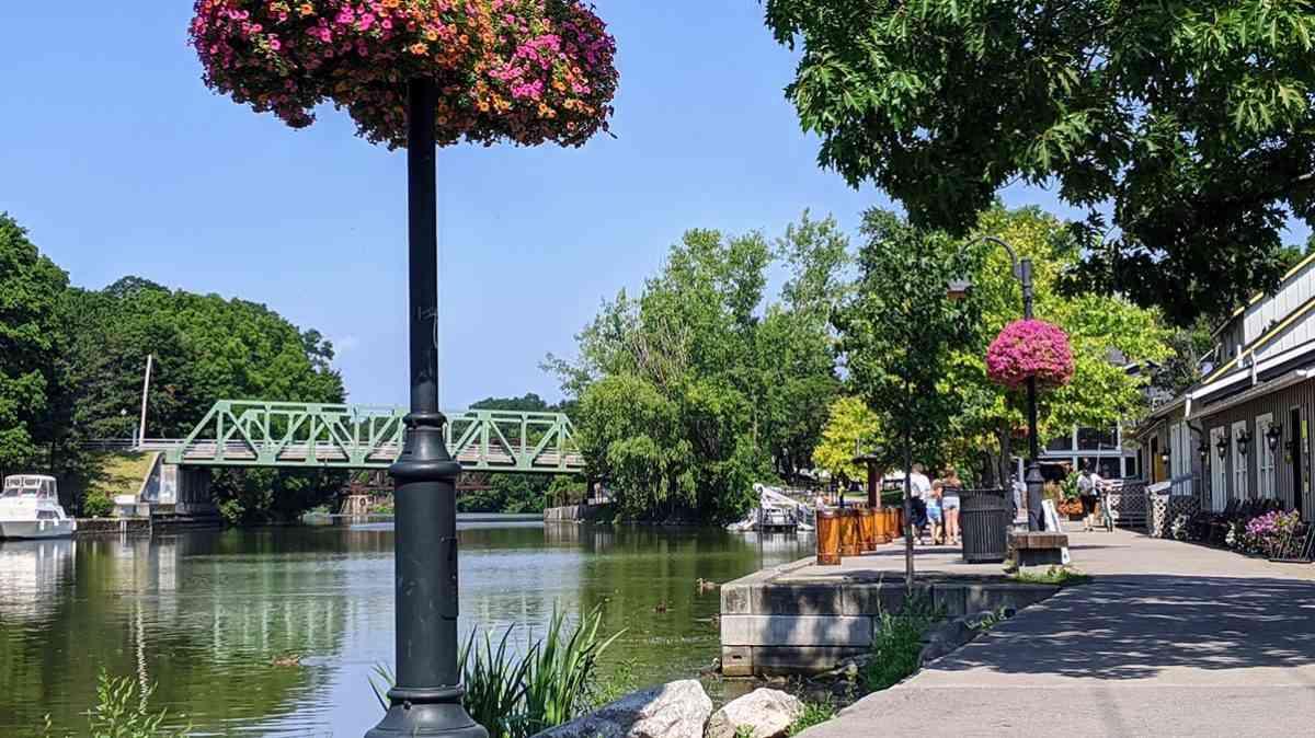 Pittsford Schoen Place cover
