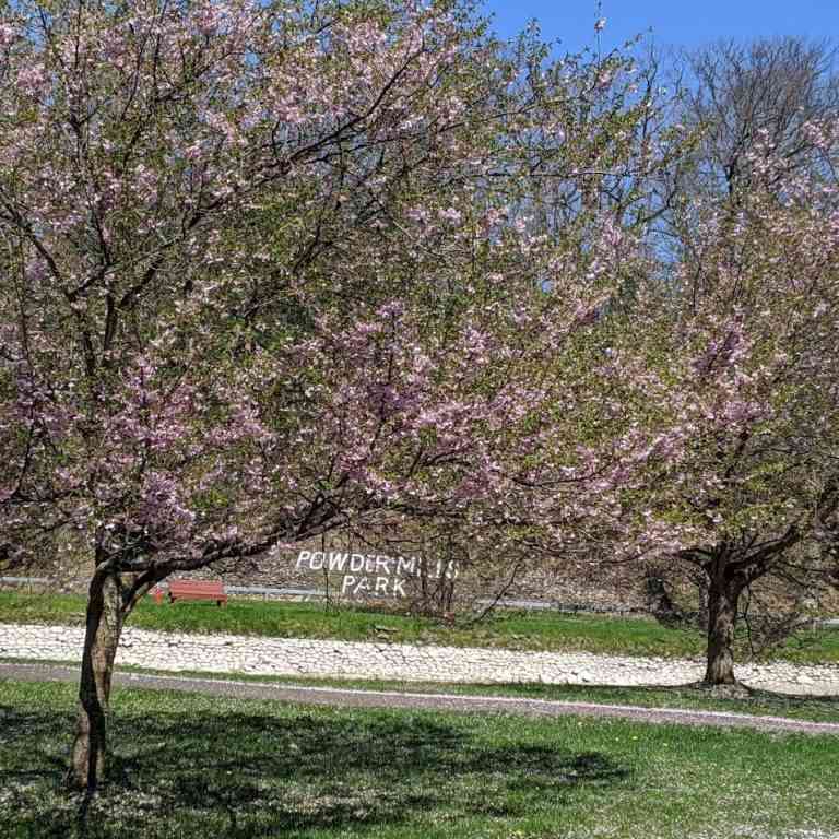 Powder Mills Park Day Trips Around Rochester, NY