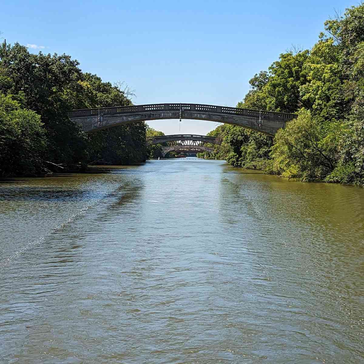 Riverie through Genesee Valley Park