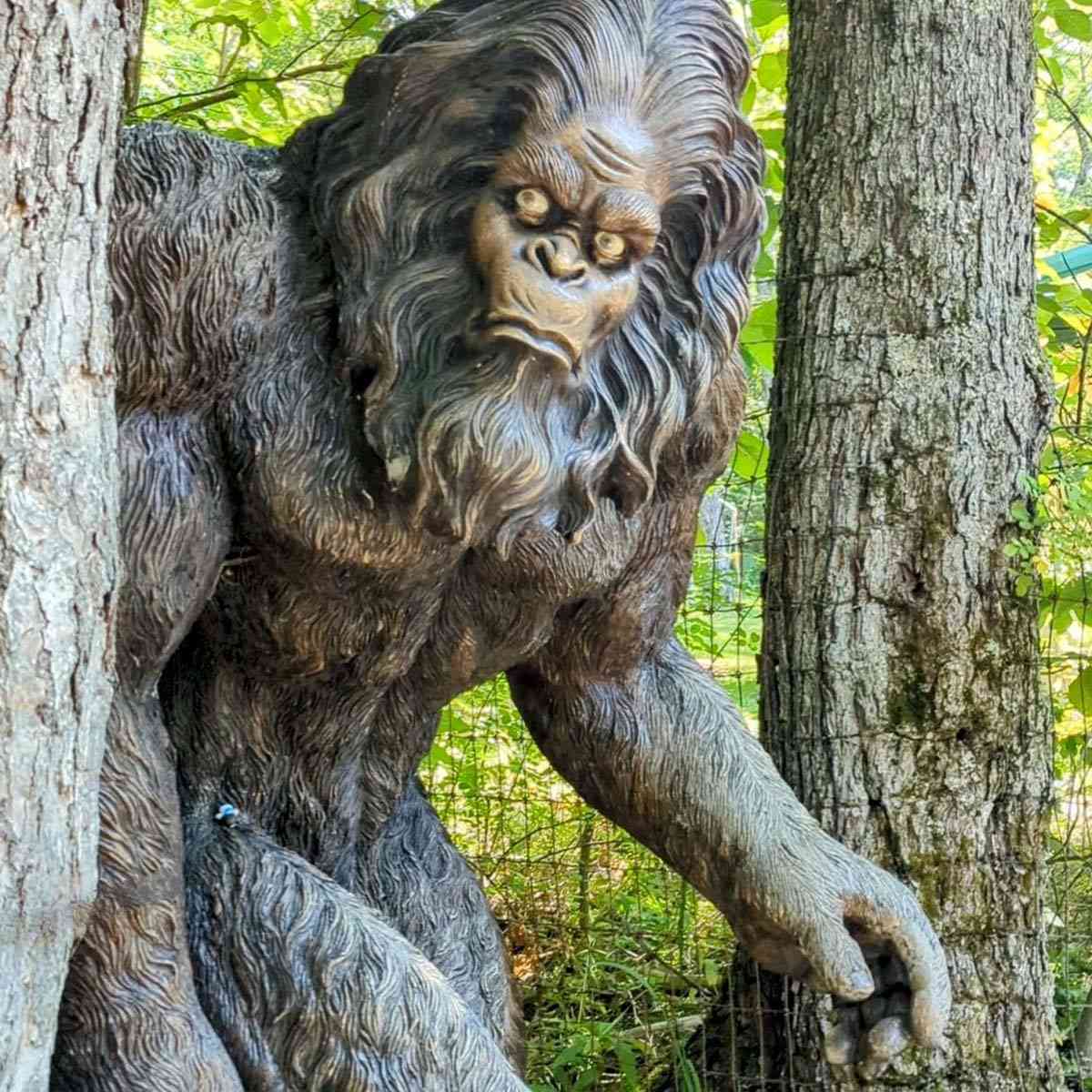 Rock City Park Sasquatch