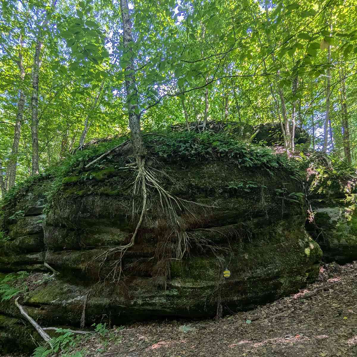 hamburger rock