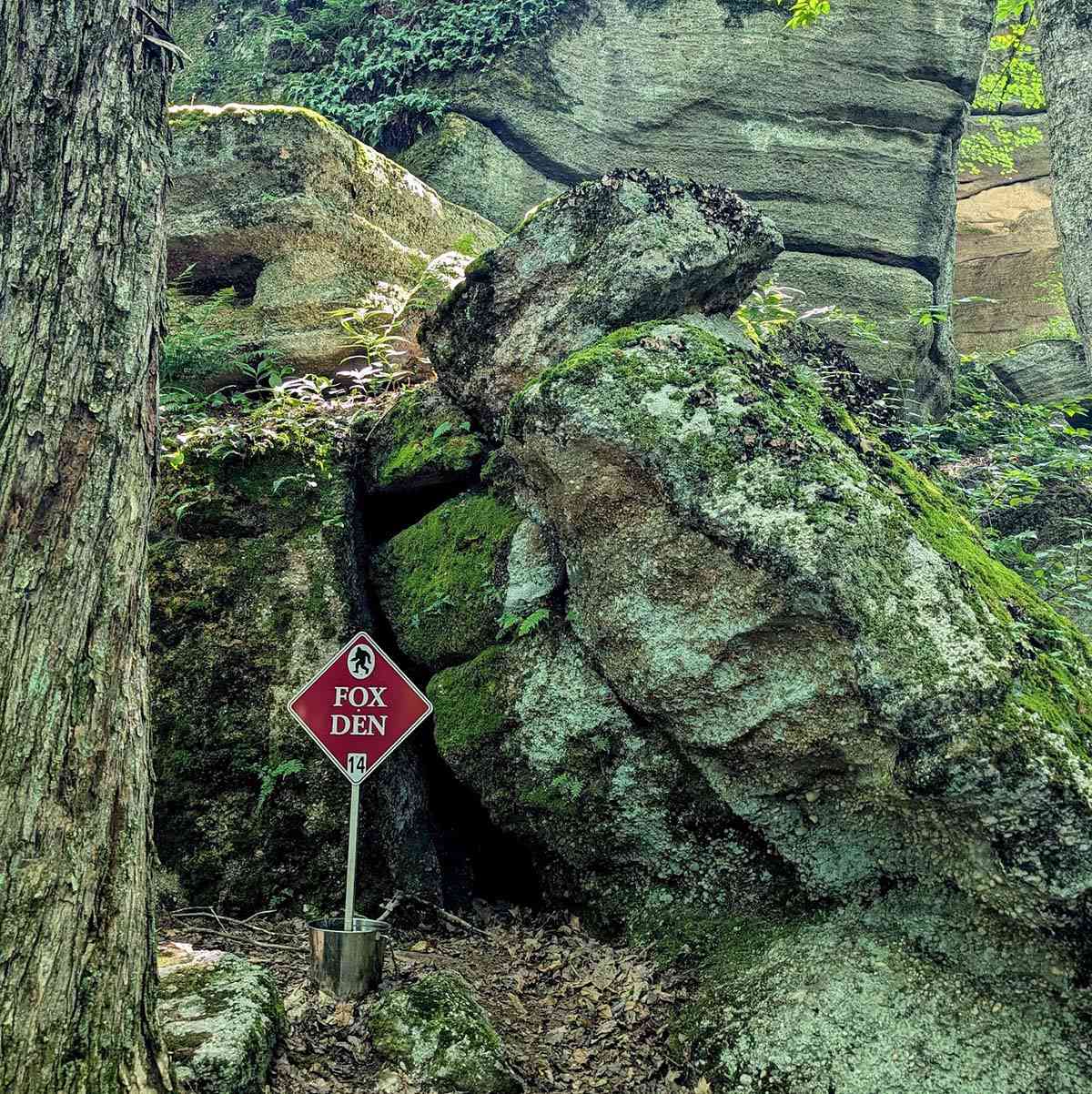 Rock City Park fox den