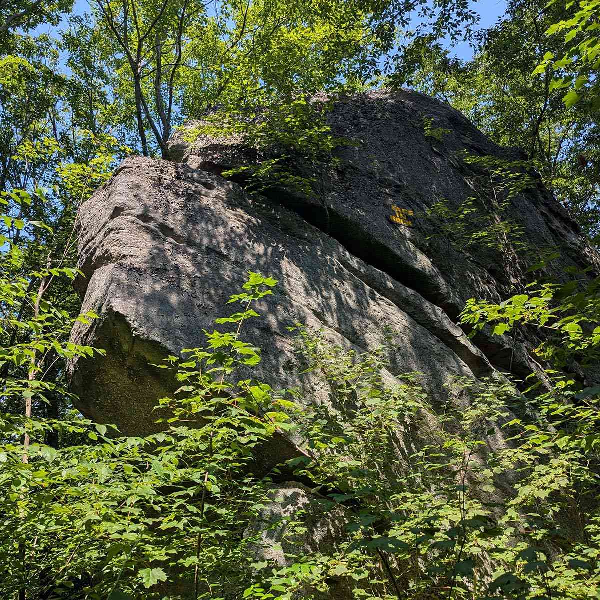 Rock City Park face rock