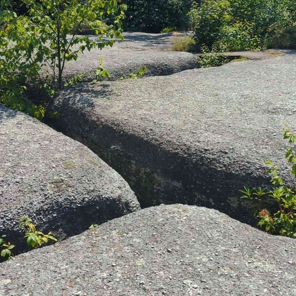 Signal Rock