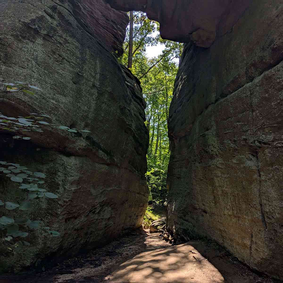 Rock City Park dining hall pass