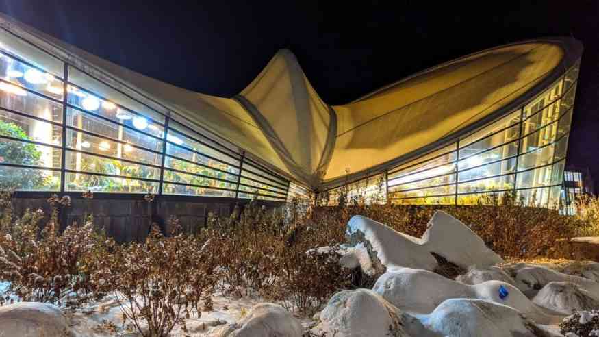 Strong Butterfly Garden winter cover
