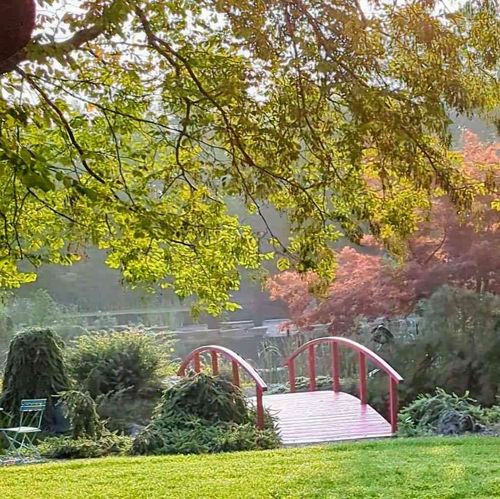 Sycamore Hill Gardens