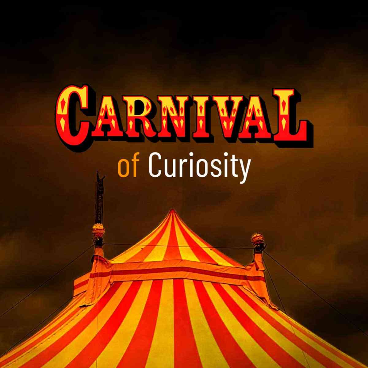 After Dark - Carnival of Curiosity
