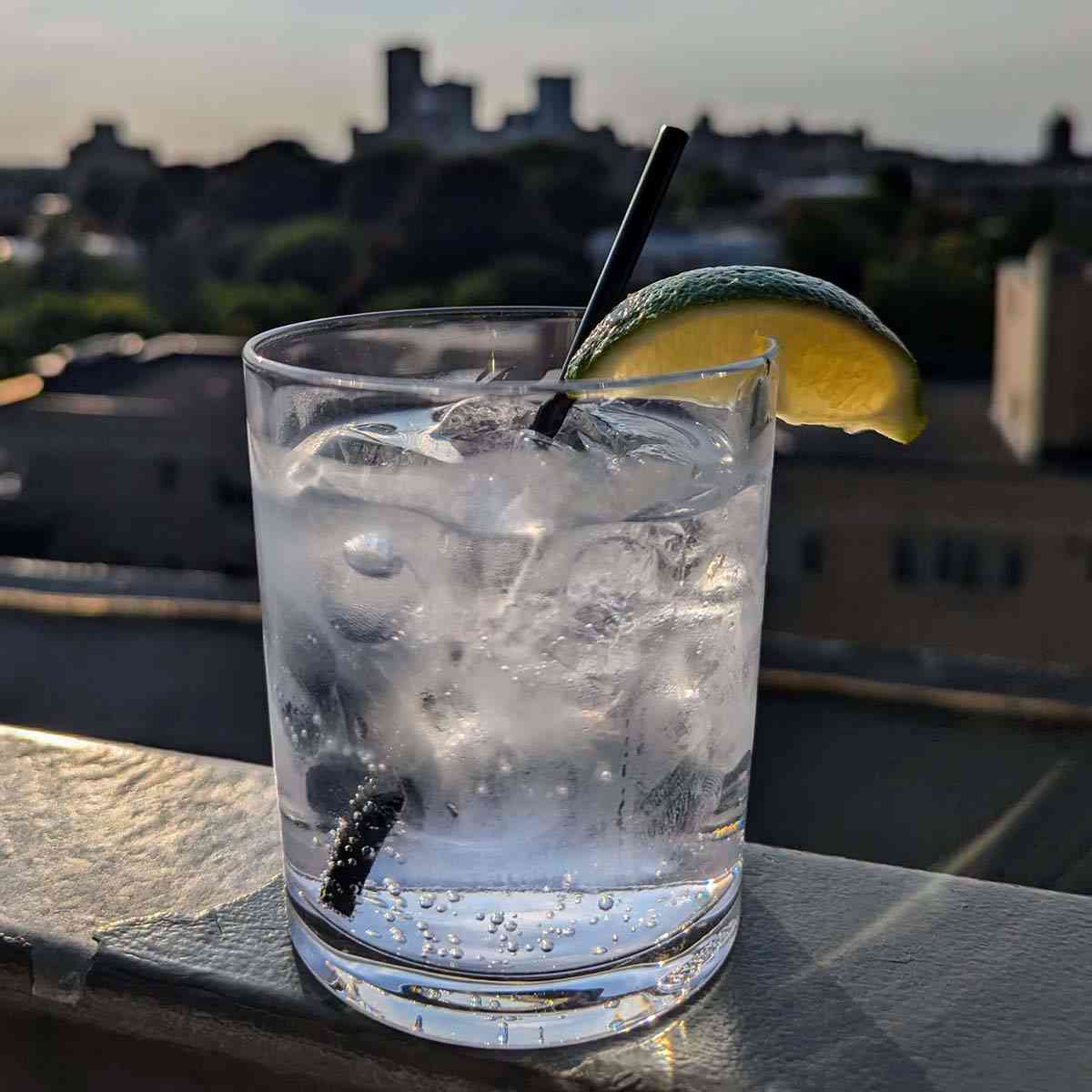 Rochester Cocktail Revival