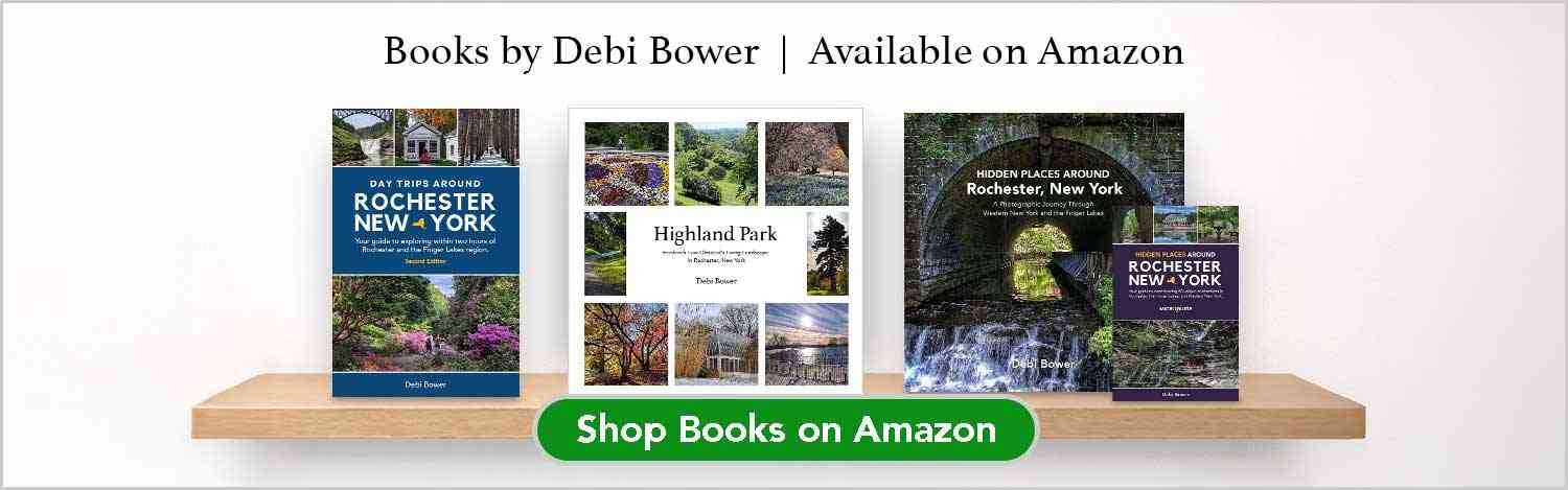 Books by Debi Bower available on Amazon - shop now