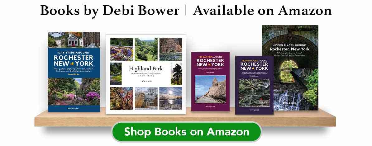 Books by Debi Bower available on Amazon - shop now