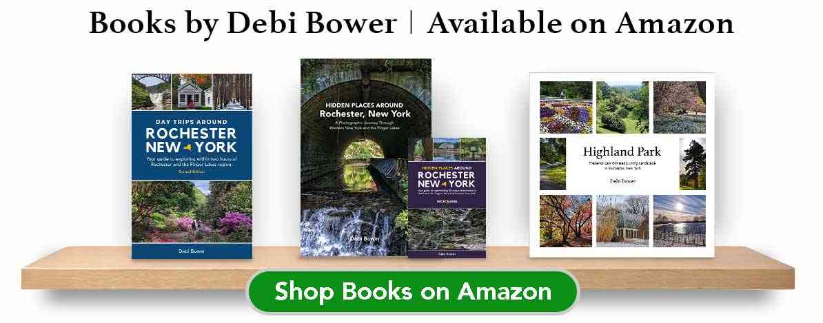 Books by Debi Bower available on Amazon - shop now