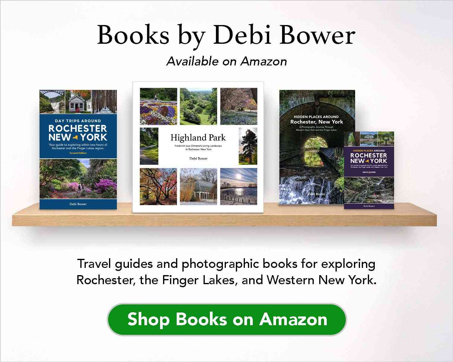 shop books on amazon