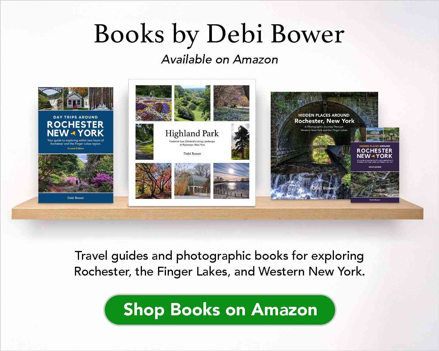 shop books on amazon