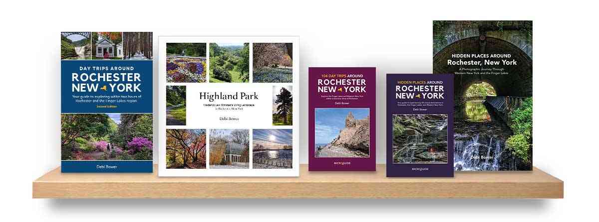 Books by Debi Bower