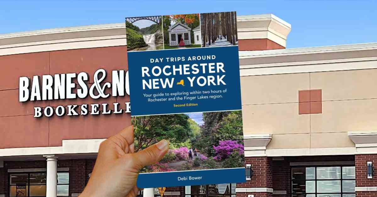 Barnes and Noble Webster book event