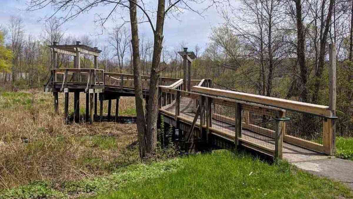 fairport thomas creek wetland walk cover