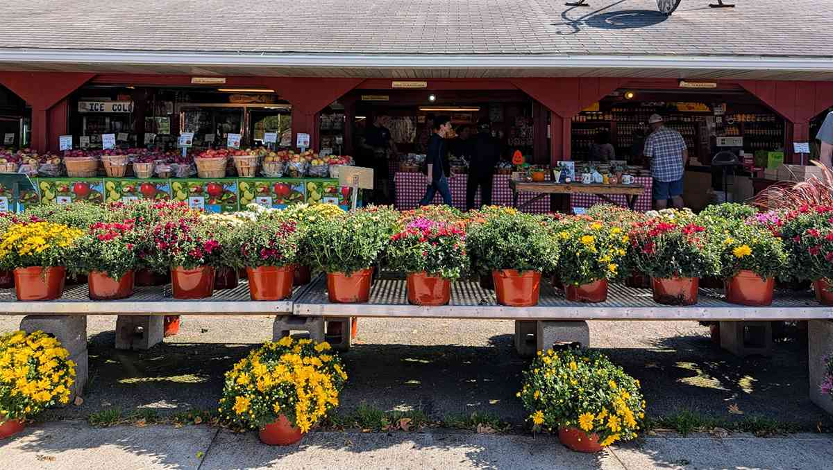 farmers market cover