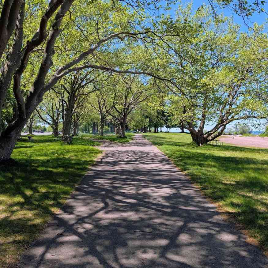hamlin beach area three path