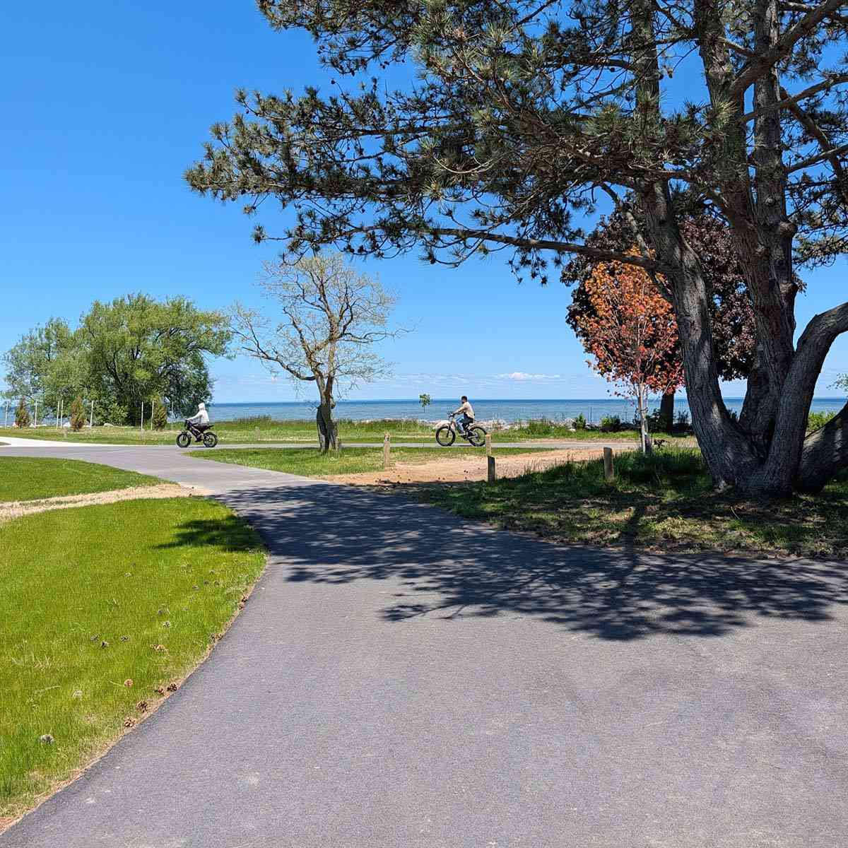 hamlin beach bike