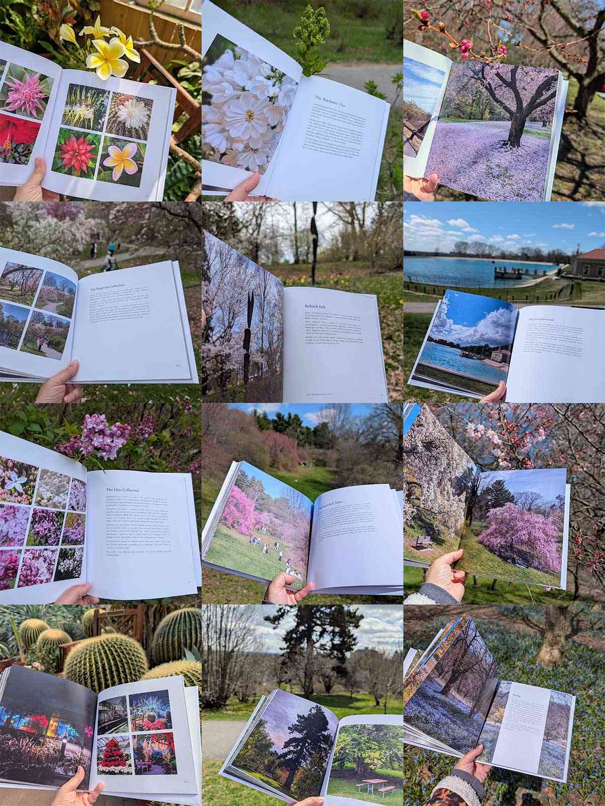 highland park book interior collage