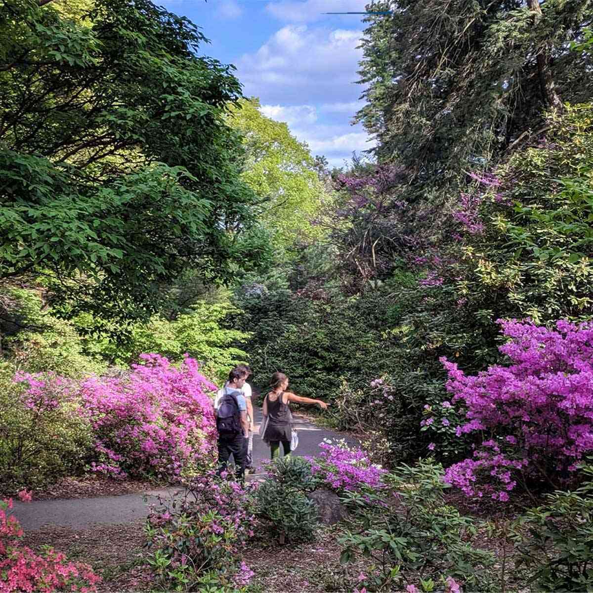 highland park in springtime