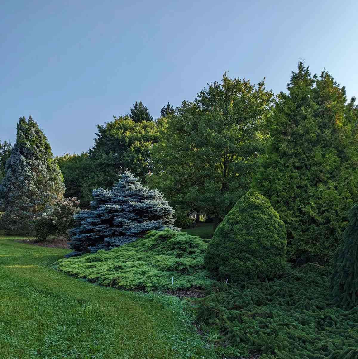 Sycamore Hill Gardens