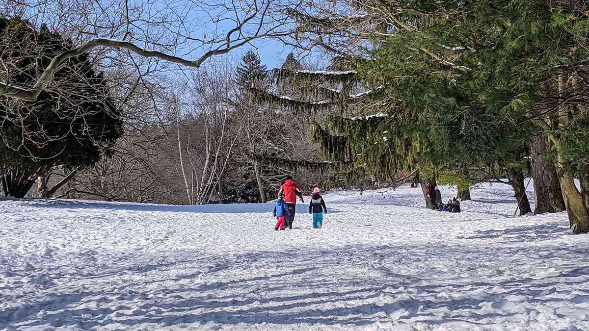Family walking through the snow at Webster Park